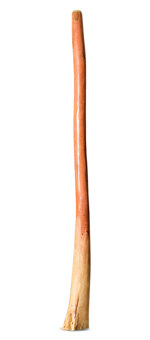 Earl Clements Flared Didgeridoo (EC380)